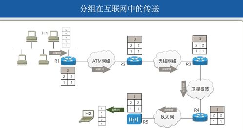 计算机网络网络层 软硬件协同开发的核心与技术实践
