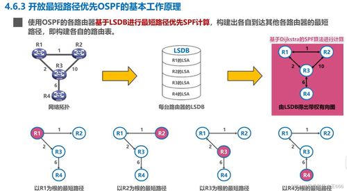 计算机网络体系中的网络层 计算机软硬件与网络技术开发的协同演进